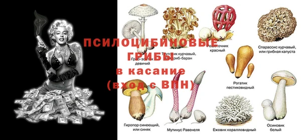 ГАЛЛЮЦИНОГЕННЫЕ ГРИБЫ Алексин