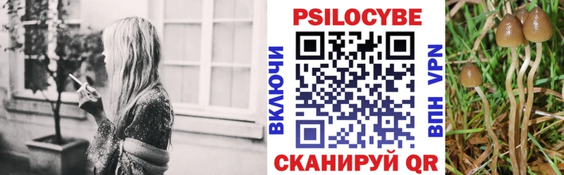 где продают mega ссылки Галлюциногенные грибы мицелий Жирновск